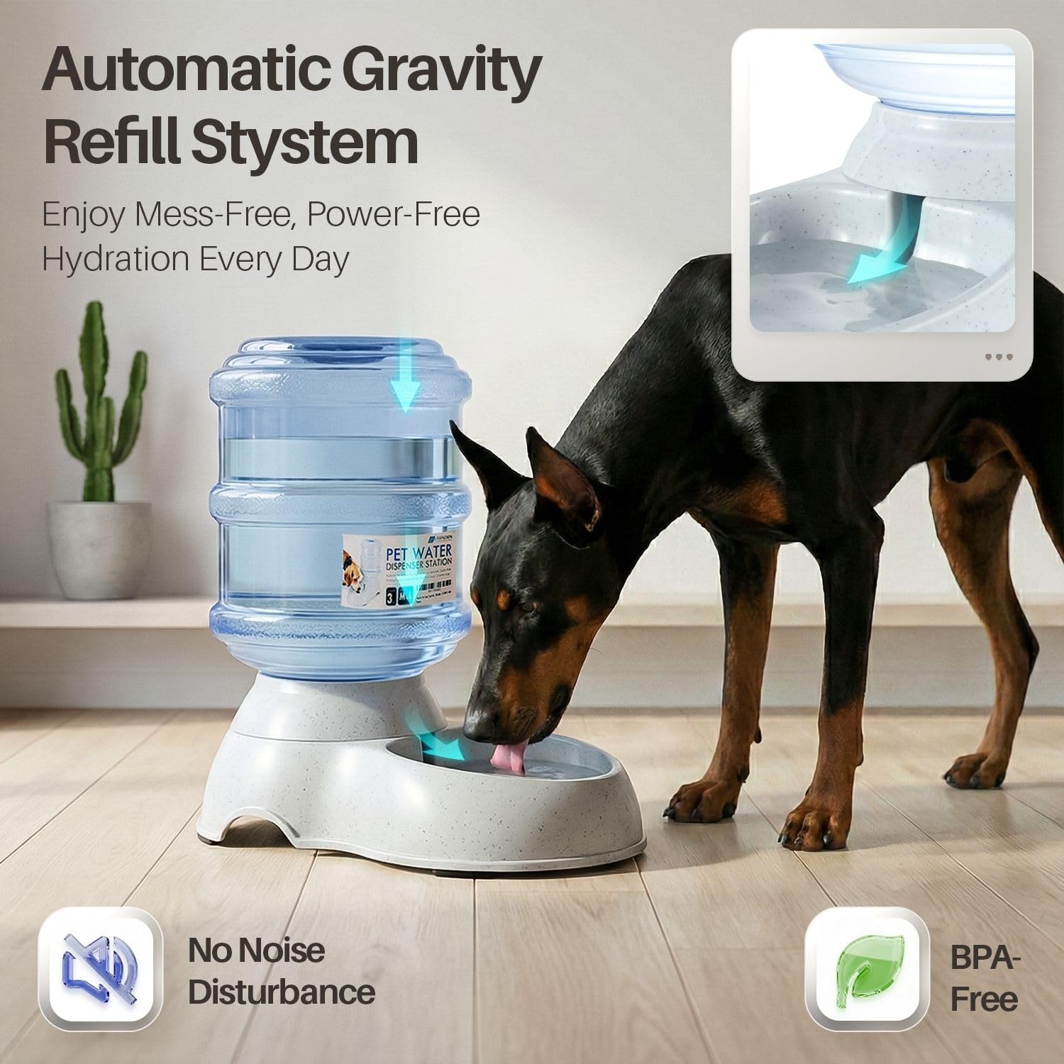 Pet Hydration Station